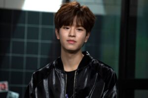 Biografía de Seungmin1-min